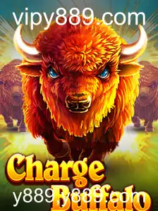 Descubra o Fascinante Mundo de ChargeBuffalo: Regras, Estratégias e Mais